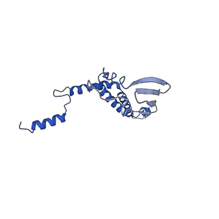 4839_6re2_7_v1-2
Cryo-EM structure of Polytomella F-ATP synthase, Rotary substate 2B, composite map