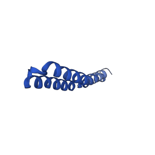 4839_6re2_I_v1-2
Cryo-EM structure of Polytomella F-ATP synthase, Rotary substate 2B, composite map