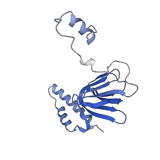 4839_6re2_R_v1-2
Cryo-EM structure of Polytomella F-ATP synthase, Rotary substate 2B, composite map