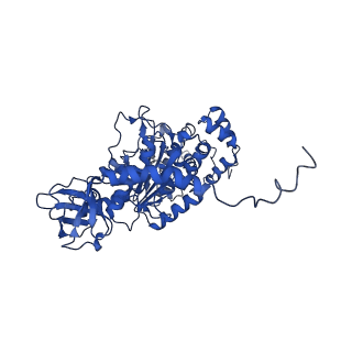 4839_6re2_T_v1-2
Cryo-EM structure of Polytomella F-ATP synthase, Rotary substate 2B, composite map