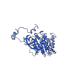 4839_6re2_U_v1-2
Cryo-EM structure of Polytomella F-ATP synthase, Rotary substate 2B, composite map