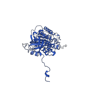 4839_6re2_V_v1-2
Cryo-EM structure of Polytomella F-ATP synthase, Rotary substate 2B, composite map