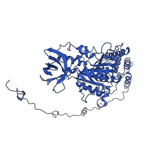 4839_6re2_X_v1-2
Cryo-EM structure of Polytomella F-ATP synthase, Rotary substate 2B, composite map