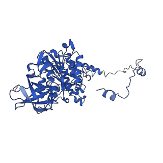 4839_6re2_Y_v1-2
Cryo-EM structure of Polytomella F-ATP synthase, Rotary substate 2B, composite map