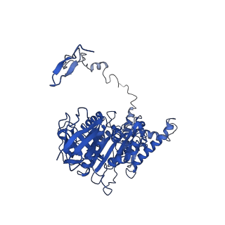 4839_6re2_Z_v1-2
Cryo-EM structure of Polytomella F-ATP synthase, Rotary substate 2B, composite map