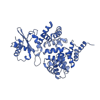 4840_6re3_2_v1-3
Cryo-EM structure of Polytomella F-ATP synthase, Rotary substate 2B, monomer-masked refinement