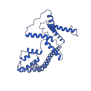 4840_6re3_4_v1-3
Cryo-EM structure of Polytomella F-ATP synthase, Rotary substate 2B, monomer-masked refinement