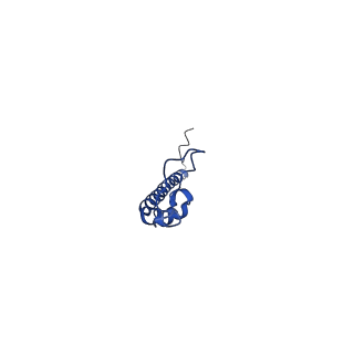 4840_6re3_8_v1-3
Cryo-EM structure of Polytomella F-ATP synthase, Rotary substate 2B, monomer-masked refinement