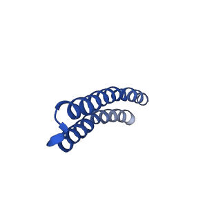 4840_6re3_E_v1-3
Cryo-EM structure of Polytomella F-ATP synthase, Rotary substate 2B, monomer-masked refinement