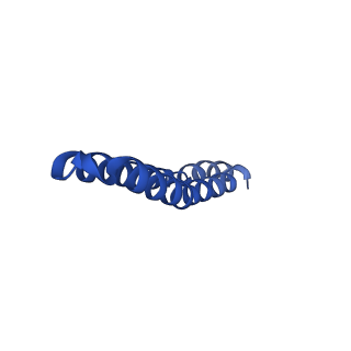 4840_6re3_H_v1-3
Cryo-EM structure of Polytomella F-ATP synthase, Rotary substate 2B, monomer-masked refinement