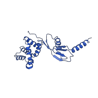 4840_6re3_P_v1-3
Cryo-EM structure of Polytomella F-ATP synthase, Rotary substate 2B, monomer-masked refinement