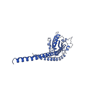 4840_6re3_S_v1-3
Cryo-EM structure of Polytomella F-ATP synthase, Rotary substate 2B, monomer-masked refinement