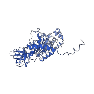 4840_6re3_T_v1-3
Cryo-EM structure of Polytomella F-ATP synthase, Rotary substate 2B, monomer-masked refinement