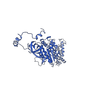 4840_6re3_U_v1-3
Cryo-EM structure of Polytomella F-ATP synthase, Rotary substate 2B, monomer-masked refinement