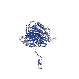 4840_6re3_V_v1-3
Cryo-EM structure of Polytomella F-ATP synthase, Rotary substate 2B, monomer-masked refinement