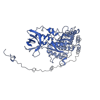 4840_6re3_X_v1-3
Cryo-EM structure of Polytomella F-ATP synthase, Rotary substate 2B, monomer-masked refinement