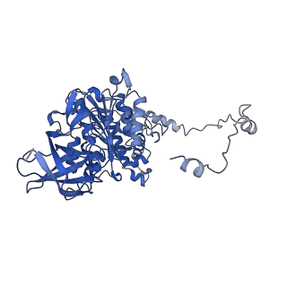 4840_6re3_Y_v1-3
Cryo-EM structure of Polytomella F-ATP synthase, Rotary substate 2B, monomer-masked refinement