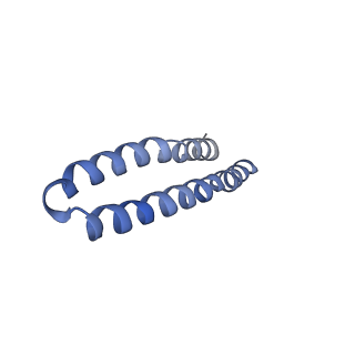4841_6re4_B_v1-2
Cryo-EM structure of Polytomella F-ATP synthase, Rotary substate 2B, focussed refinement of F1 head and rotor