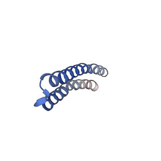 4841_6re4_E_v1-2
Cryo-EM structure of Polytomella F-ATP synthase, Rotary substate 2B, focussed refinement of F1 head and rotor