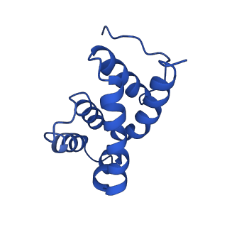 4841_6re4_P_v1-2
Cryo-EM structure of Polytomella F-ATP synthase, Rotary substate 2B, focussed refinement of F1 head and rotor