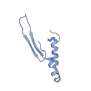 4841_6re4_Q_v1-2
Cryo-EM structure of Polytomella F-ATP synthase, Rotary substate 2B, focussed refinement of F1 head and rotor
