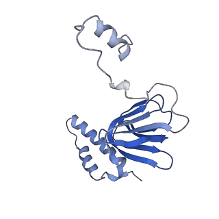 4841_6re4_R_v1-2
Cryo-EM structure of Polytomella F-ATP synthase, Rotary substate 2B, focussed refinement of F1 head and rotor