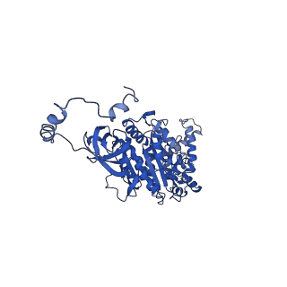4841_6re4_U_v1-2
Cryo-EM structure of Polytomella F-ATP synthase, Rotary substate 2B, focussed refinement of F1 head and rotor