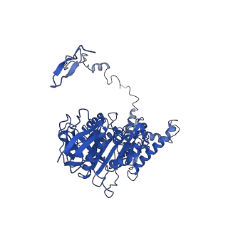 4841_6re4_Z_v1-2
Cryo-EM structure of Polytomella F-ATP synthase, Rotary substate 2B, focussed refinement of F1 head and rotor