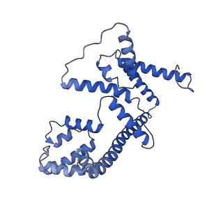 4842_6re5_4_v1-2
Cryo-EM structure of Polytomella F-ATP synthase, Rotary substate 2C, composite map