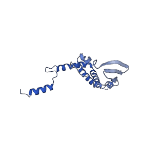 4842_6re5_7_v1-2
Cryo-EM structure of Polytomella F-ATP synthase, Rotary substate 2C, composite map