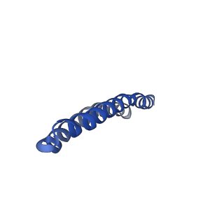 4842_6re5_D_v1-2
Cryo-EM structure of Polytomella F-ATP synthase, Rotary substate 2C, composite map