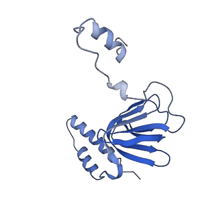 4842_6re5_R_v1-2
Cryo-EM structure of Polytomella F-ATP synthase, Rotary substate 2C, composite map