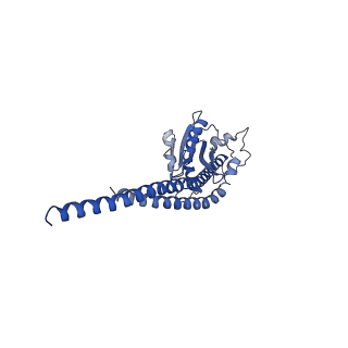 4842_6re5_S_v1-2
Cryo-EM structure of Polytomella F-ATP synthase, Rotary substate 2C, composite map
