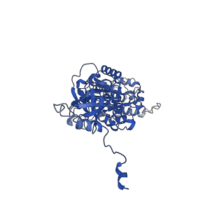 4842_6re5_V_v1-2
Cryo-EM structure of Polytomella F-ATP synthase, Rotary substate 2C, composite map