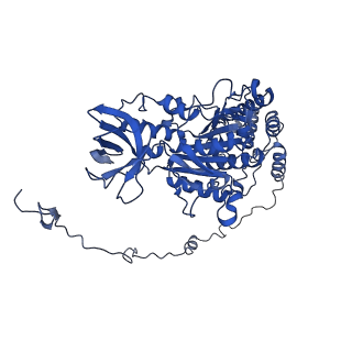 4842_6re5_X_v1-2
Cryo-EM structure of Polytomella F-ATP synthase, Rotary substate 2C, composite map