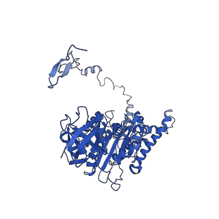 4842_6re5_Z_v1-2
Cryo-EM structure of Polytomella F-ATP synthase, Rotary substate 2C, composite map