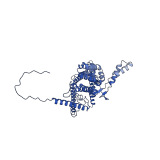 4843_6re6_1_v1-2
Cryo-EM structure of Polytomella F-ATP synthase, Rotary substate 2C, monomer-masked refinement
