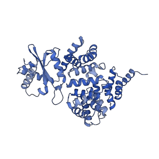 4843_6re6_2_v1-2
Cryo-EM structure of Polytomella F-ATP synthase, Rotary substate 2C, monomer-masked refinement