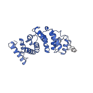 4843_6re6_3_v1-2
Cryo-EM structure of Polytomella F-ATP synthase, Rotary substate 2C, monomer-masked refinement