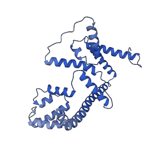 4843_6re6_4_v1-2
Cryo-EM structure of Polytomella F-ATP synthase, Rotary substate 2C, monomer-masked refinement