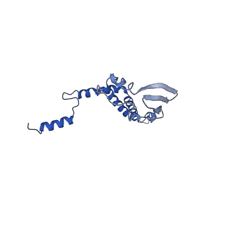 4843_6re6_7_v1-2
Cryo-EM structure of Polytomella F-ATP synthase, Rotary substate 2C, monomer-masked refinement