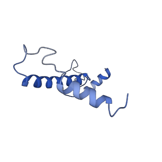 4843_6re6_9_v1-2
Cryo-EM structure of Polytomella F-ATP synthase, Rotary substate 2C, monomer-masked refinement