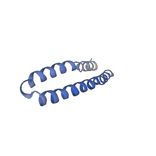 4843_6re6_B_v1-2
Cryo-EM structure of Polytomella F-ATP synthase, Rotary substate 2C, monomer-masked refinement