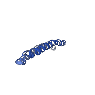 4843_6re6_D_v1-2
Cryo-EM structure of Polytomella F-ATP synthase, Rotary substate 2C, monomer-masked refinement