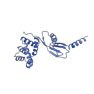 4843_6re6_P_v1-2
Cryo-EM structure of Polytomella F-ATP synthase, Rotary substate 2C, monomer-masked refinement