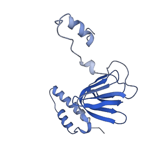4843_6re6_R_v1-2
Cryo-EM structure of Polytomella F-ATP synthase, Rotary substate 2C, monomer-masked refinement
