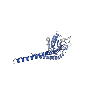 4843_6re6_S_v1-2
Cryo-EM structure of Polytomella F-ATP synthase, Rotary substate 2C, monomer-masked refinement