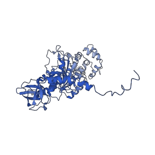 4843_6re6_T_v1-2
Cryo-EM structure of Polytomella F-ATP synthase, Rotary substate 2C, monomer-masked refinement