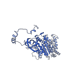 4843_6re6_U_v1-2
Cryo-EM structure of Polytomella F-ATP synthase, Rotary substate 2C, monomer-masked refinement