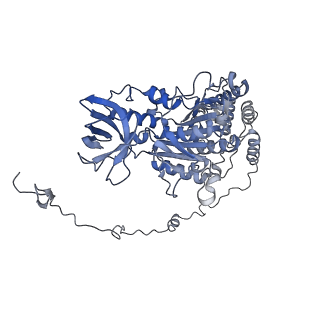 4843_6re6_X_v1-2
Cryo-EM structure of Polytomella F-ATP synthase, Rotary substate 2C, monomer-masked refinement